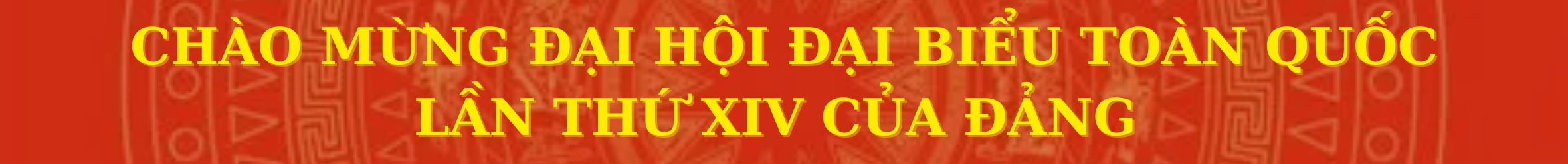 chao-mung-dai-hoi-dai-bieu-toan-quoc-lan-thu-xiv-cua-dang