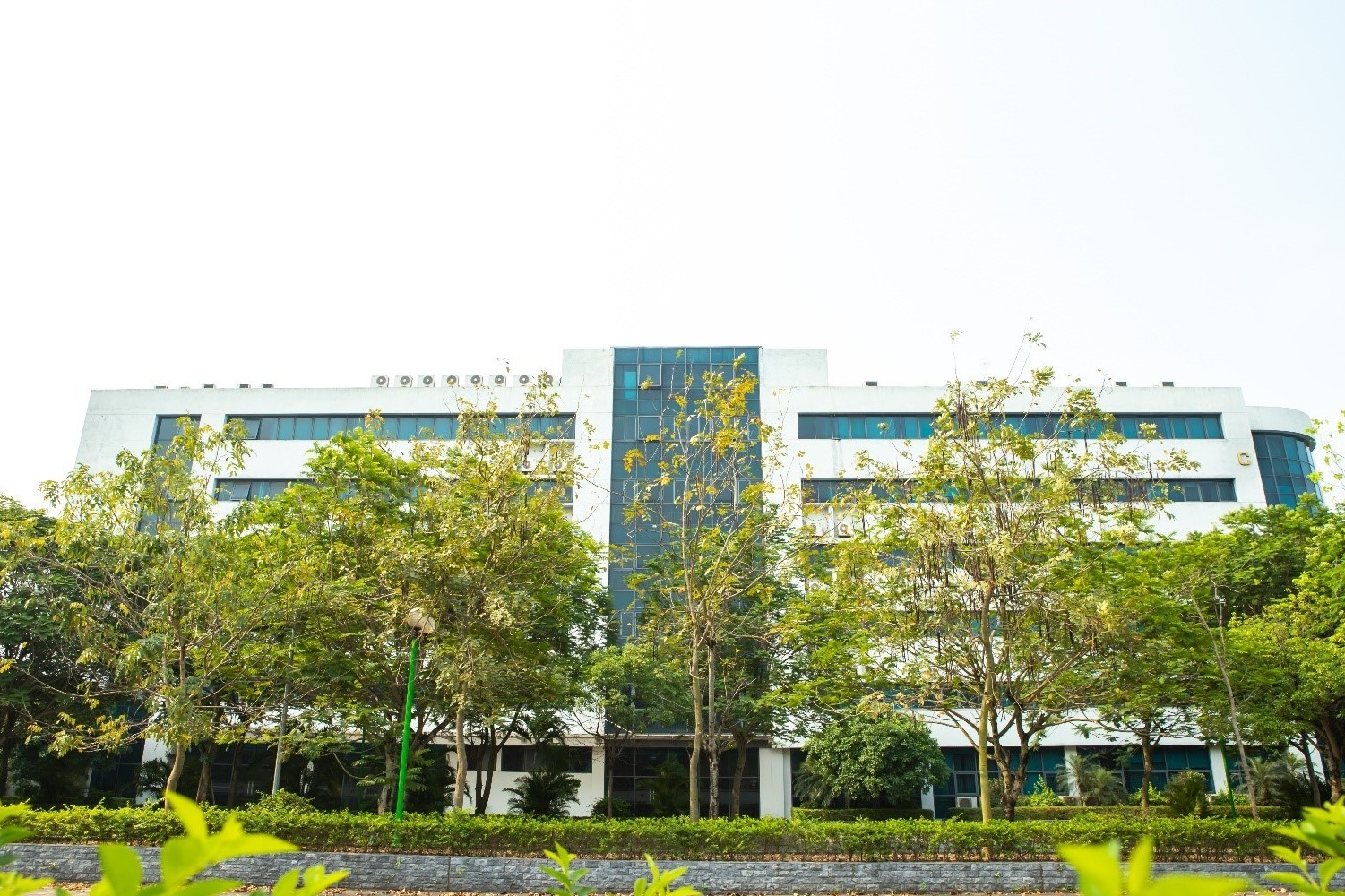 Đào tạo nhân lực y tế trong kỷ nguyên dữ liệu: Yêu cầu đặt ra từ Chiến lược dữ liệu y tế đến năm 2030