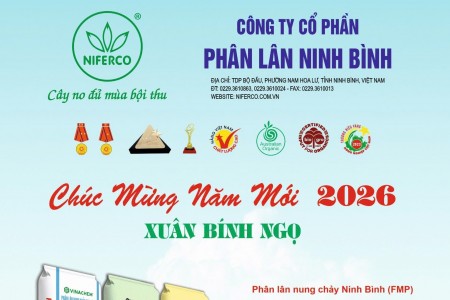 Công ty Cổ phần Phân lân Ninh Bình