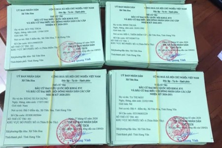 Việc bỏ phiếu trong bầu cử đại biểu Quốc hội và đại biểu Hội đồng nhân dân