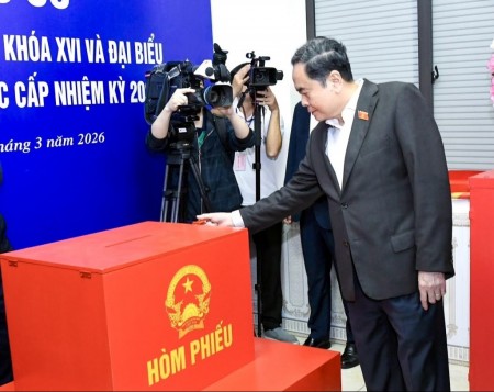 Quy định về chuẩn bị và sử dụng hòm phiếu trong bầu cử