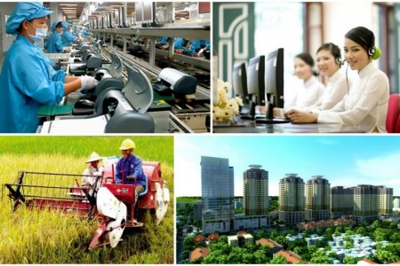 Bảo đảm quyền tiếp cận thông tin của doanh nghiệp hướng tới phát triển bền vững