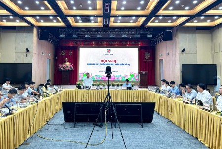 Xây dựng cơ chế, chính sách thúc đẩy phát triển đô thị đặc biệt và khu kinh tế đặc biệt