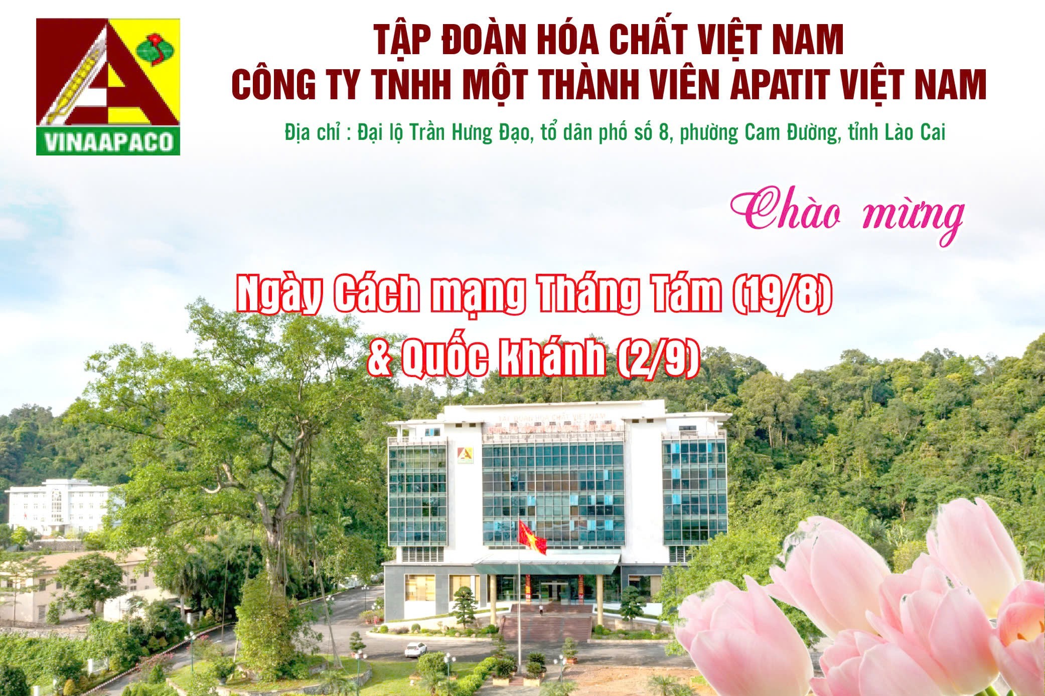 Công ty TNHH Một thành viên Apatit Việt Nam